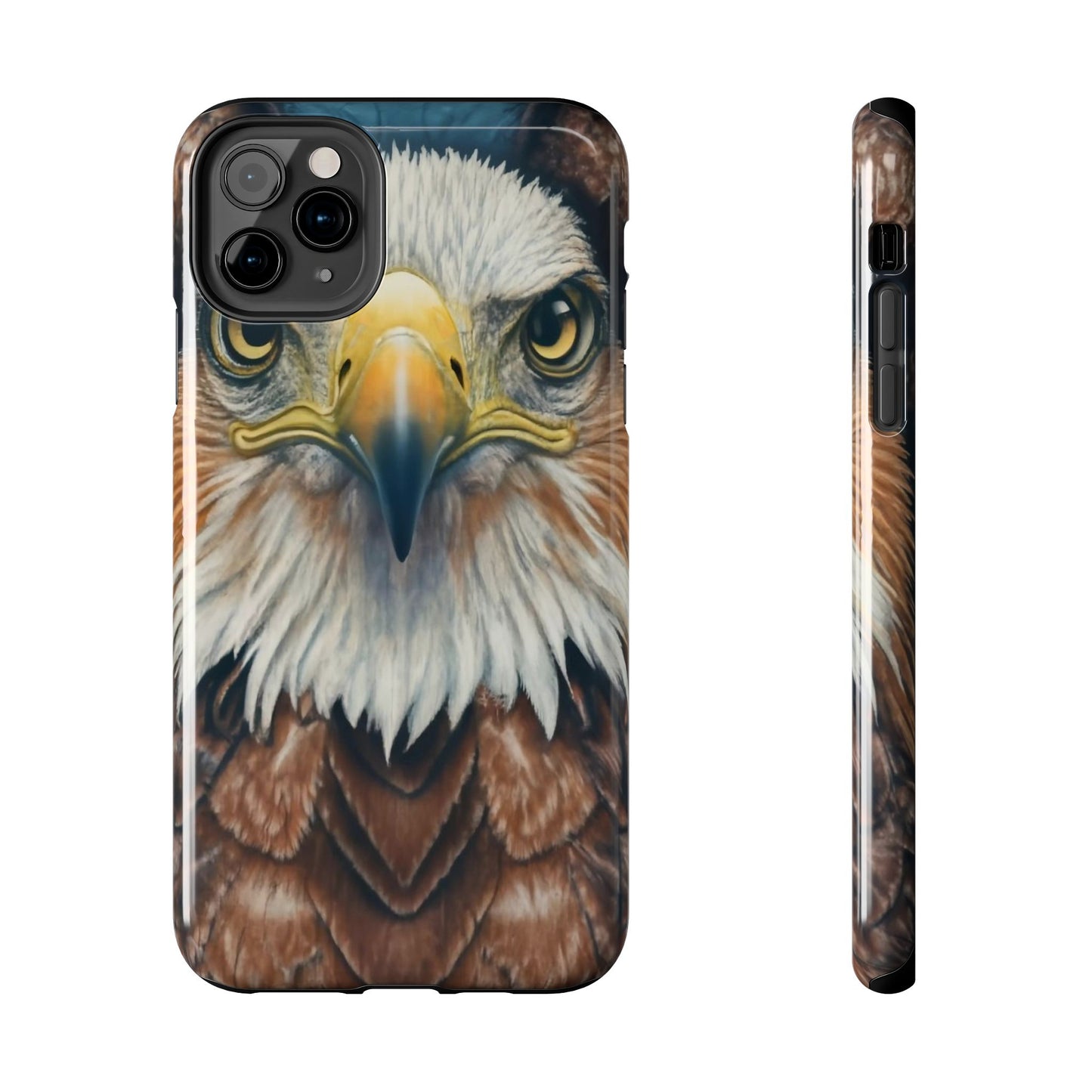 Eagle Soar Defender Case