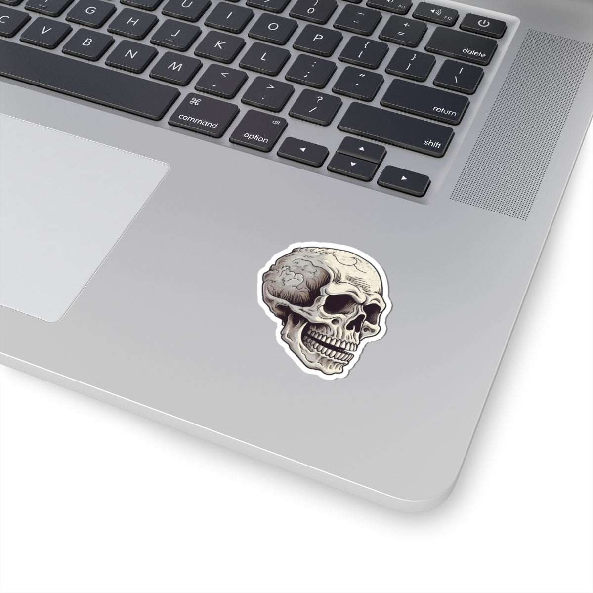 Light Tan Cracked Texture Skull Sticker