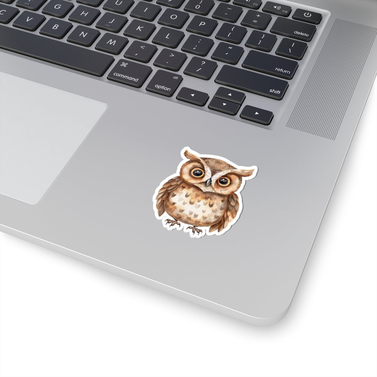 Chocolate Brown Owl Watercolor Cartoon Sticker