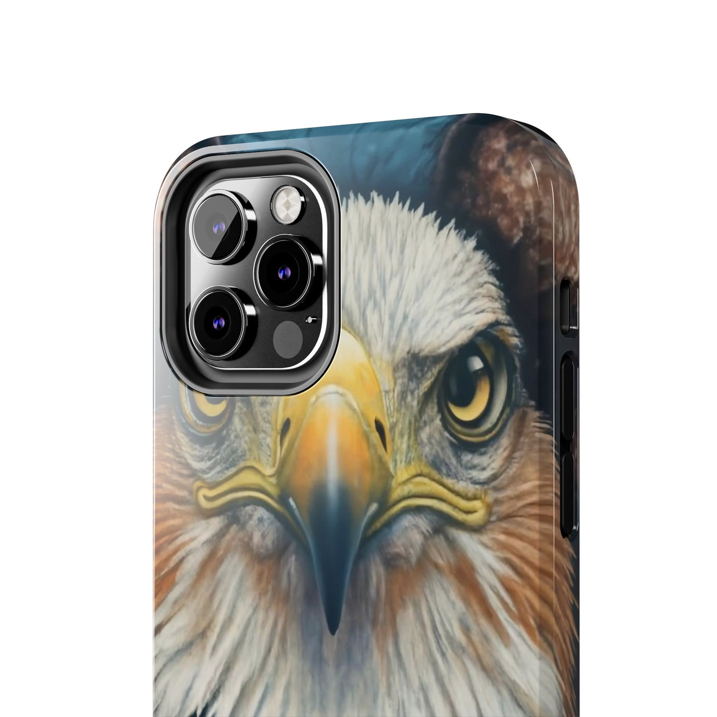 Eagle Soar Defender Case