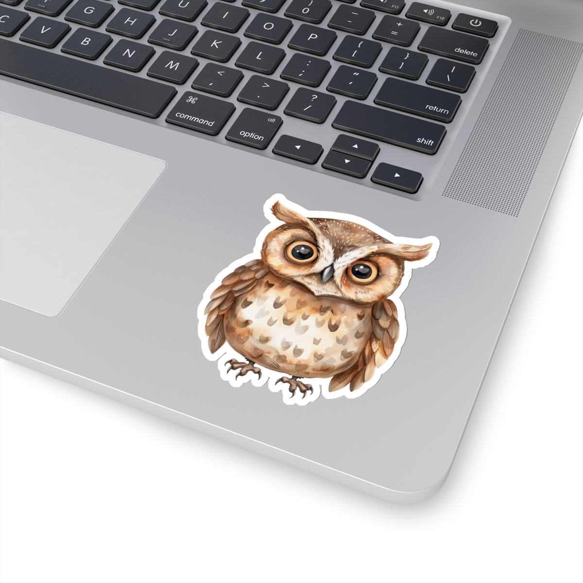 Chocolate Brown Owl Watercolor Cartoon Sticker