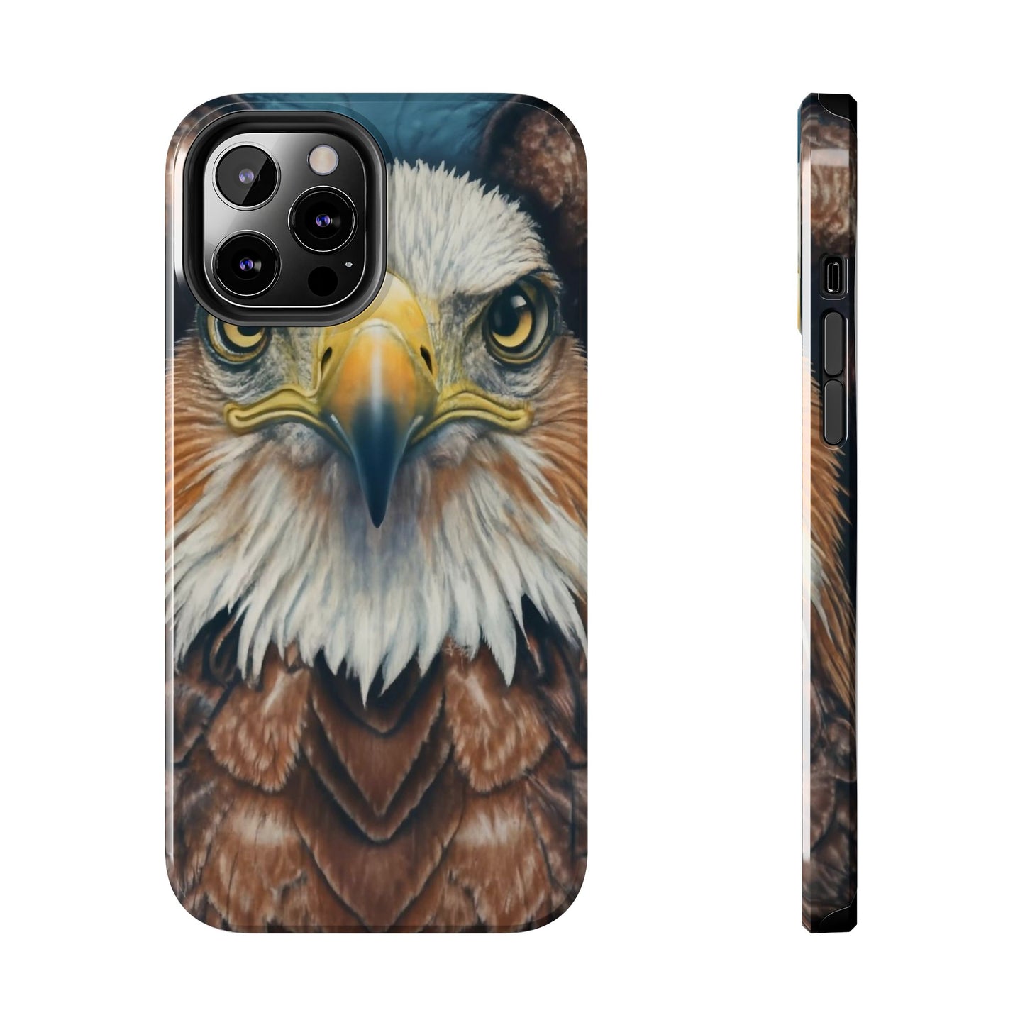 Eagle Soar Defender Case