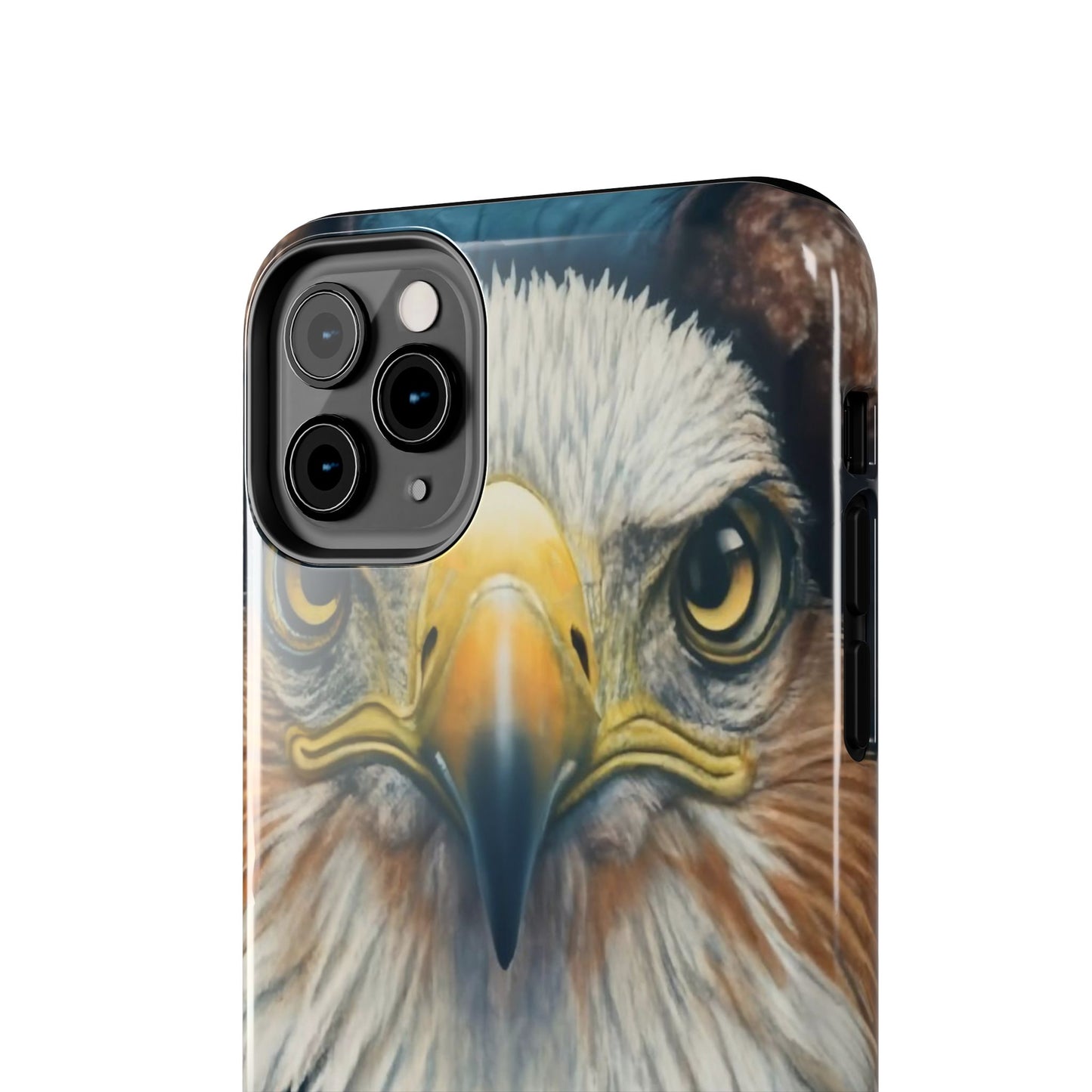 Eagle Soar Defender Case