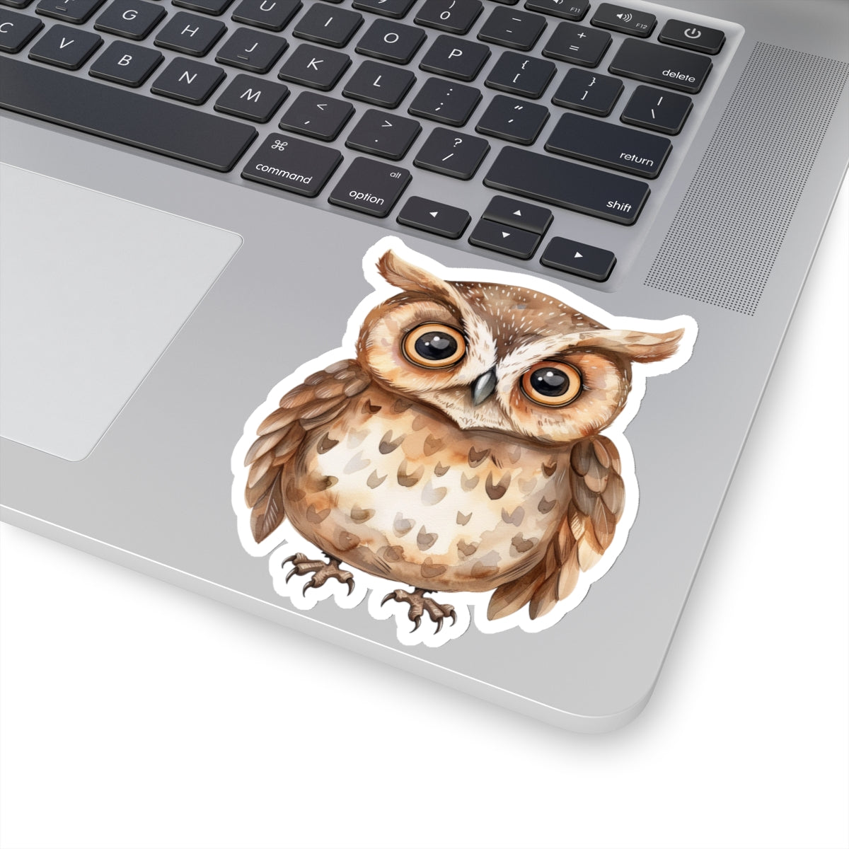 Chocolate Brown Owl Watercolor Cartoon Sticker