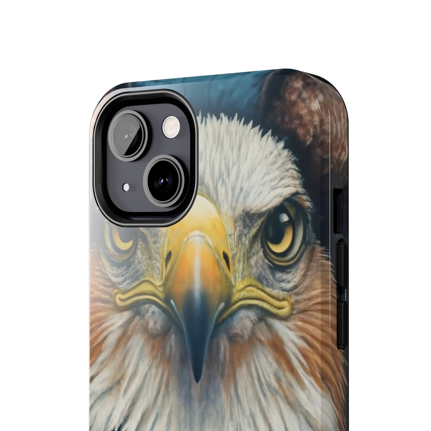 Eagle Soar Defender Case